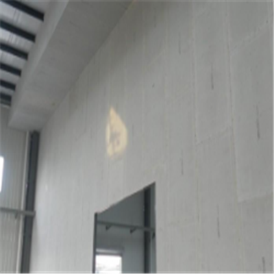 桦川新型建筑材料掺多种工业废渣的ALC|ACC|FPS模块板材轻质隔墙板